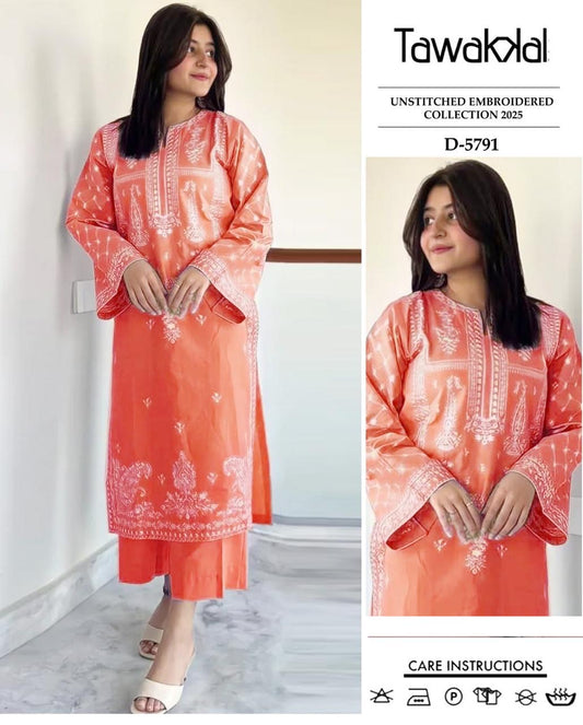 Dhanak 2pc Unstitched Embroidered